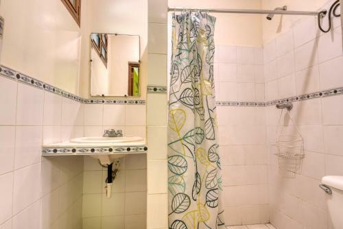 Hostal Oasis Hostel