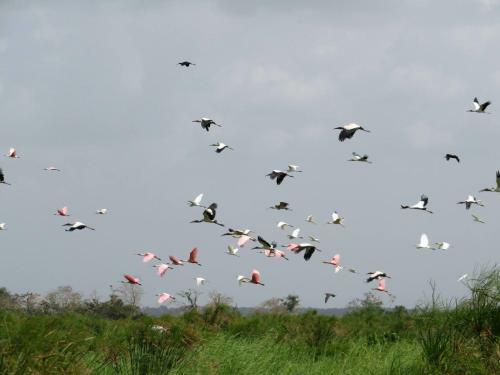 Los Guatuzos, Ecolodge