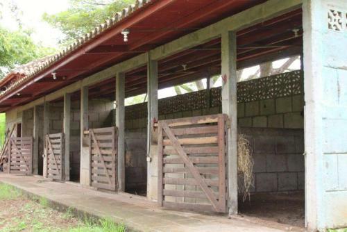 Mariposa Gran Pacifica Resort