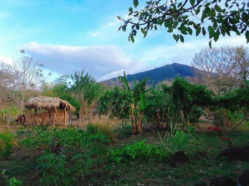 Serenea B&B