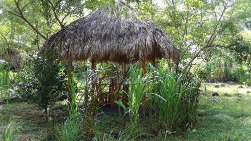 Serenea B&B