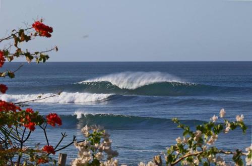 Hotel Club Surf Popoyo