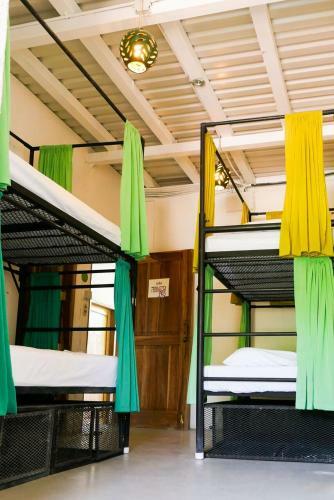 Casa Oro Eco Hostel