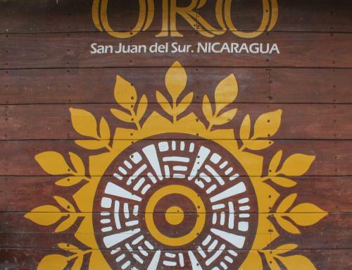 Casa Oro Eco Hostel
