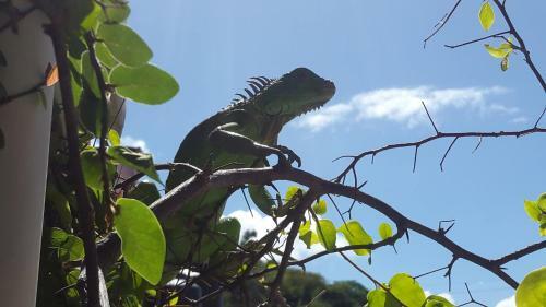 Hostal Casa Romano Hostel