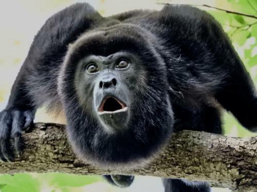 La Finca Esperanza