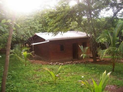 Lodge Boom Cabin