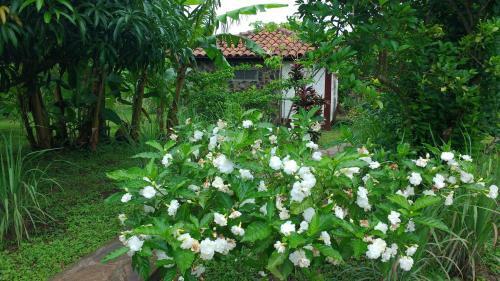 Albergue Finca Mystica