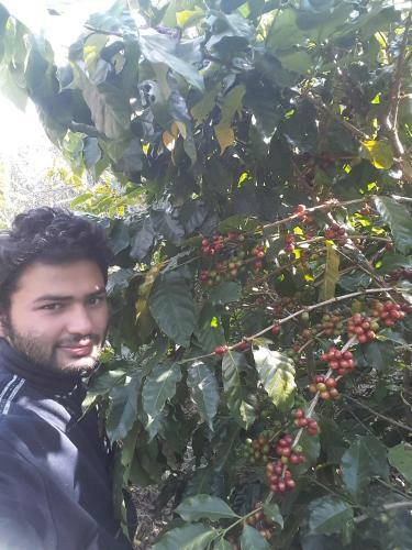 Hostal Begnas Coffee House