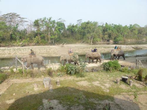 Bardia Eco Lodge