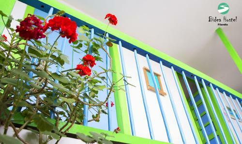 Albergue Bidea Hostal-camping
