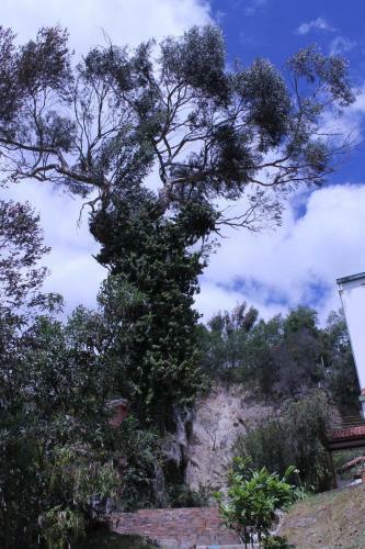 Hotel Refugio El Santuario