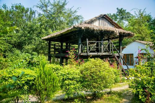 Hotel Island Jungle Resort