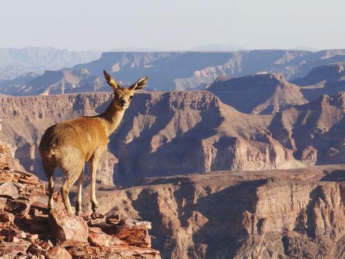 Gondwana Canyon Lodge