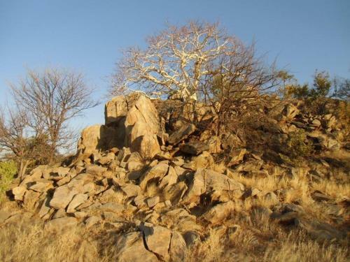 Kaoko Bush Lodge