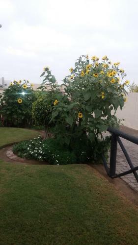 Bed & Breakfast Sunflower Self-catering