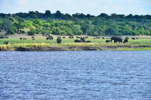 Ichingo Chobe River Lodge
