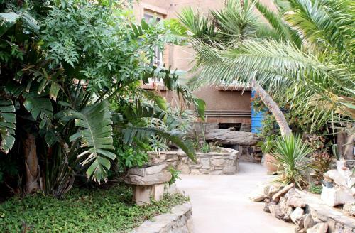 Hostal Tranquility Guest House