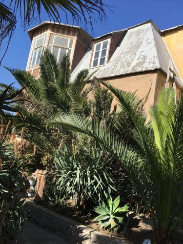 Hostal Tranquility Guest House