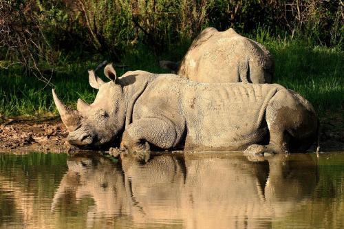 Lodge Waterberg Wilderness