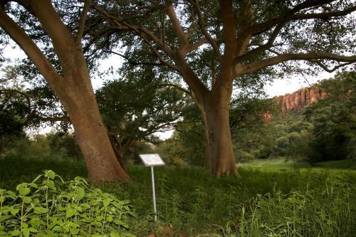 Lodge Waterberg Wilderness