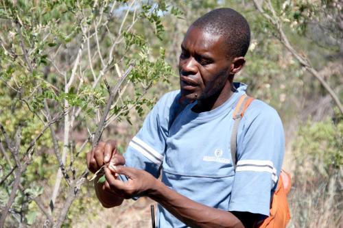 Lodge Waterberg Wilderness