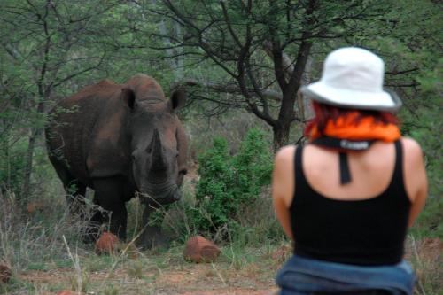 Lodge Waterberg Wilderness