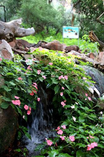Lodge Waterberg Wilderness