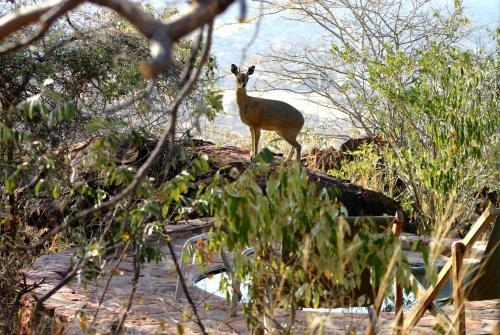 Lodge Waterberg Wilderness
