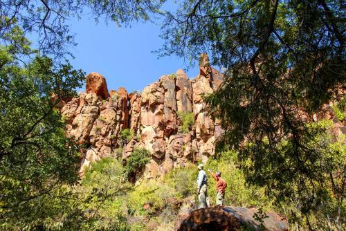 Lodge Waterberg Wilderness