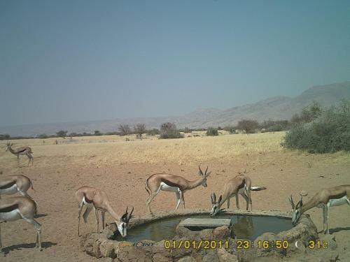 Agroturismo Ukuib Guest Farm And Camping