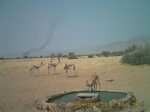 Agroturismo Ukuib Guest Farm And Camping