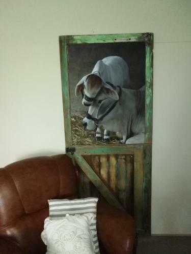 Hostal Die Windpomp Guesthouse