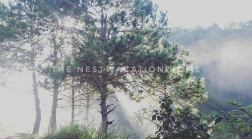 The Nest Vacation Home