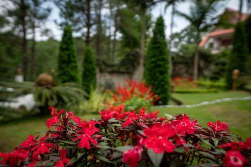 Bed & Breakfast Hillock Villa