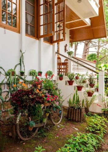Bed & Breakfast Hillock Villa