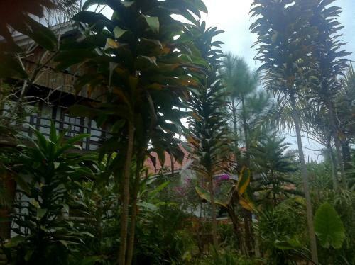Nature Land Hotel