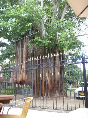 Hostal Caba�a El Castillo