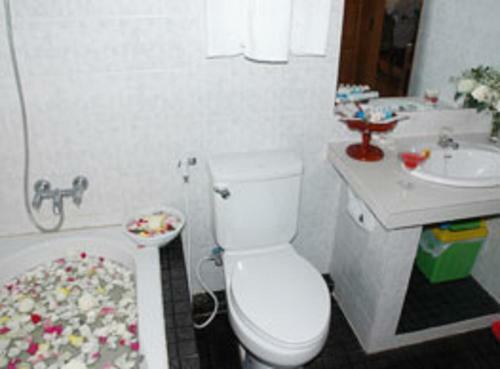 Diamond Crown Hotel Dawei
