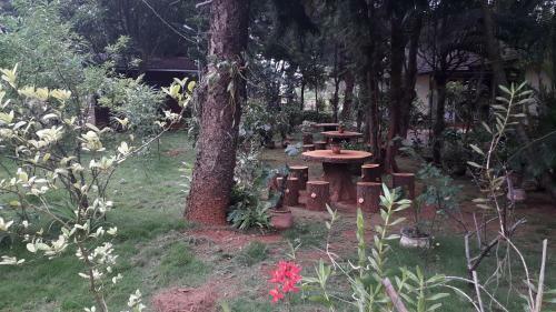 Golden Cave Hotel