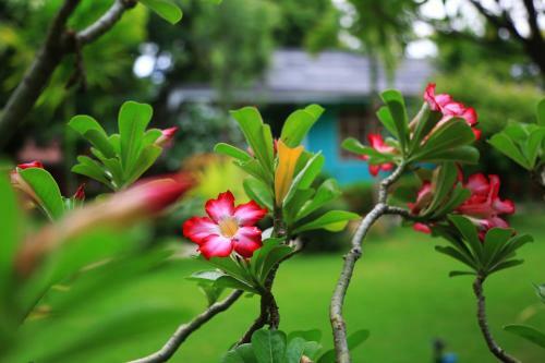 Thante Hotel - Nyaung Oo