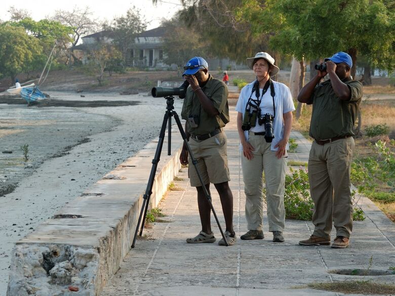 Ibo Island Lodge
