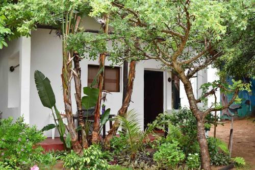 Gamboozini Lodge