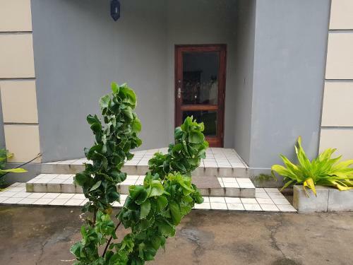 Lodge Lagun Ndziva