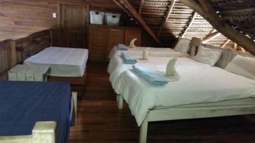 Pura Vida Lodge