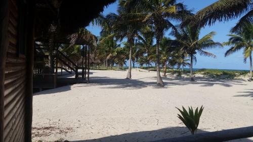 Pura Vida Lodge