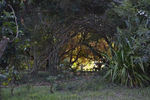 Lodge Bougainvilla Sol