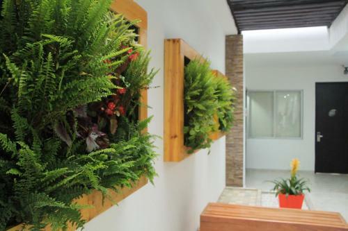 Hotel Kahv�