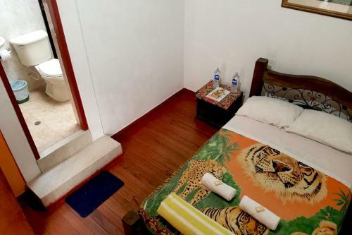 Hostal Coffee Town Hostel