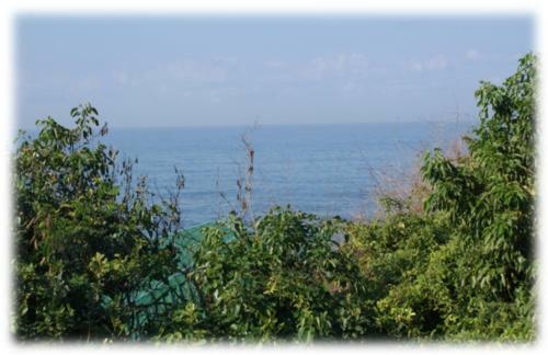 Hotel Reef Resort